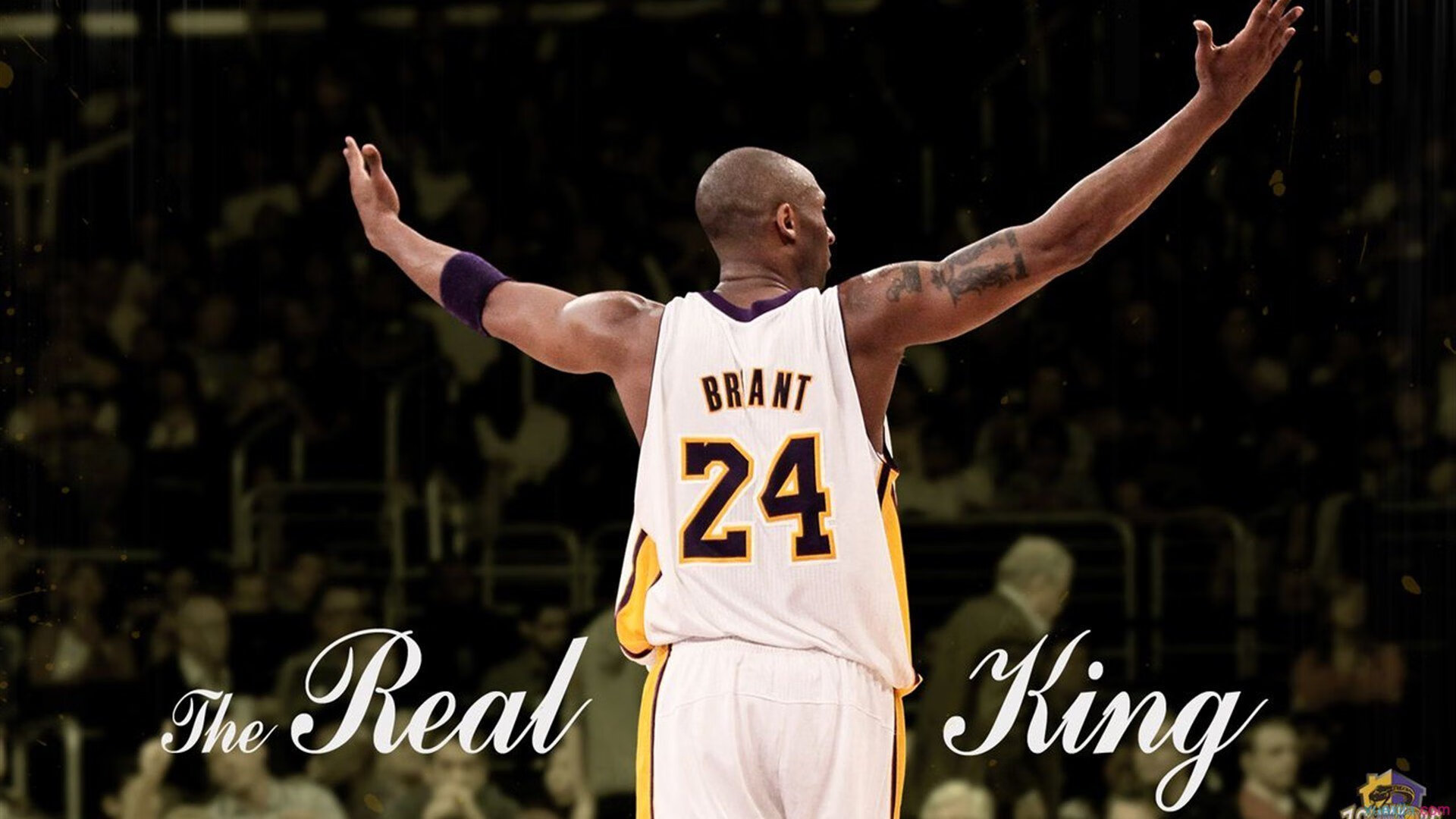 温网巅峰对决,新星闪耀,传奇延续