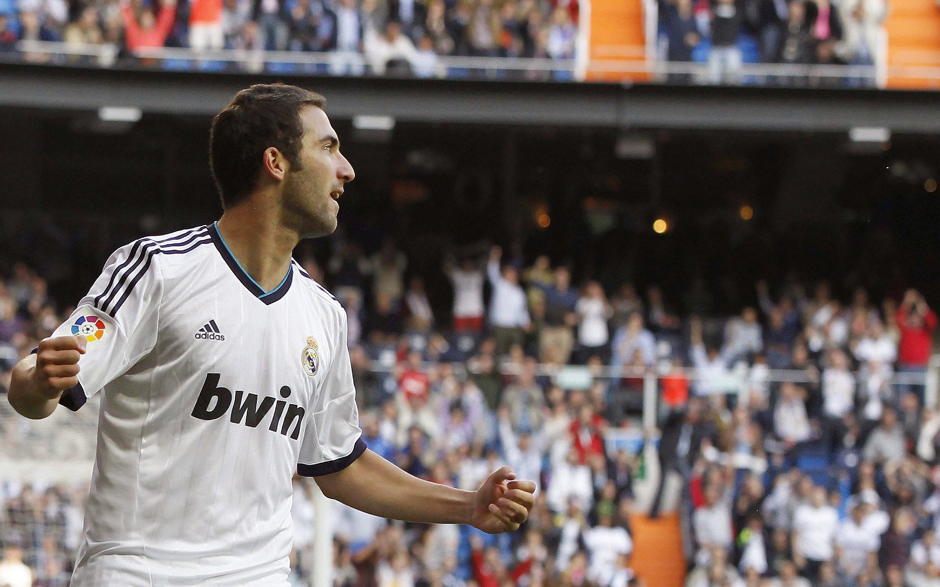 体育产业迎来黄金发展期，政策红利与消费升级双轮驱动